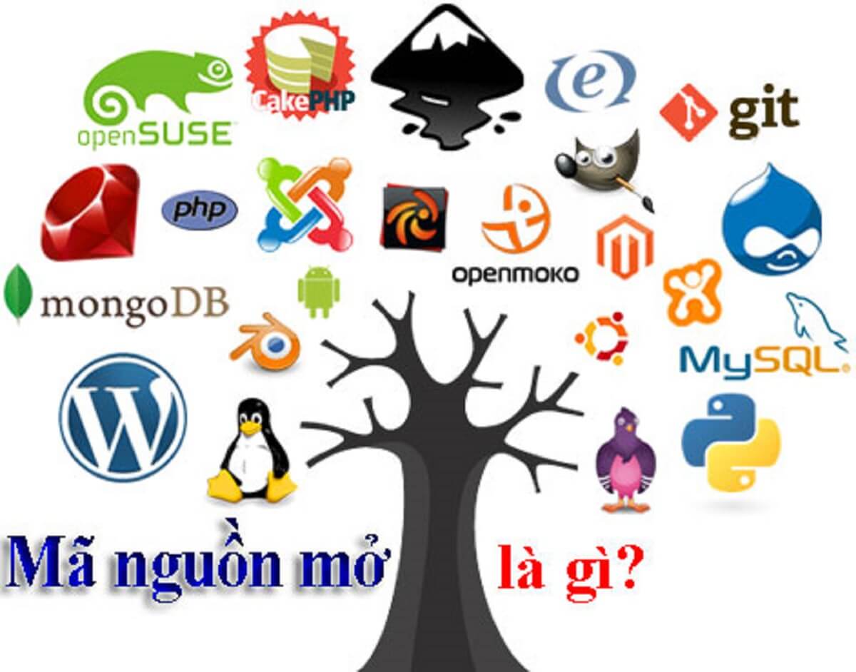 Mã nguồn mở là gì? Những lưu ý cần biết về mã nguồn mở