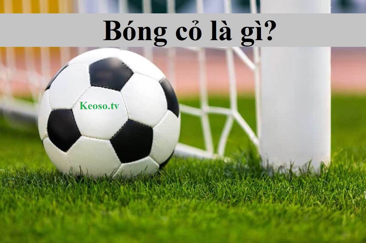 Bóng cỏ là gì? Kinh nghiệm bắt kèo bóng cỏ dễ thắng nhất