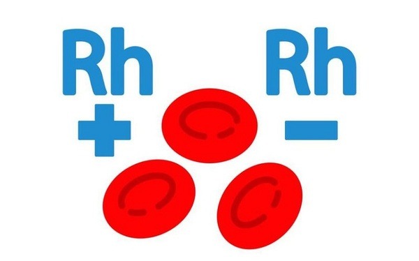 Nhóm máu Rh là gì