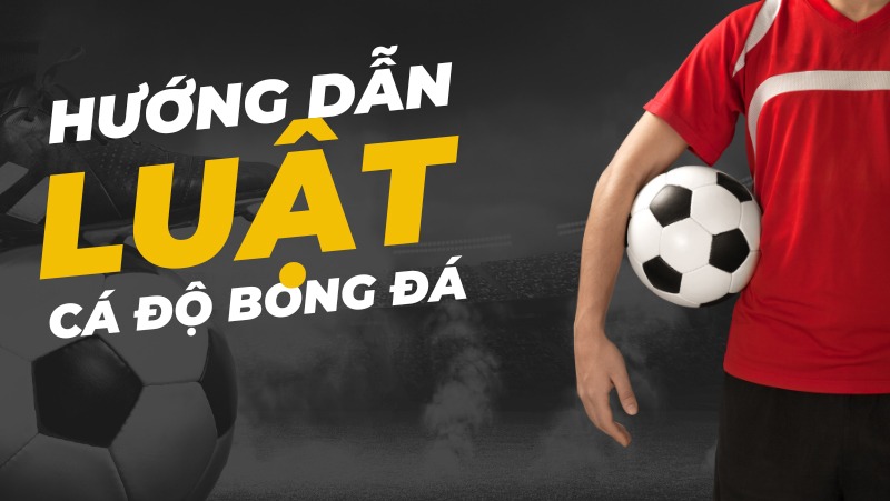 huong-dan-luat-ca-do-bong-da