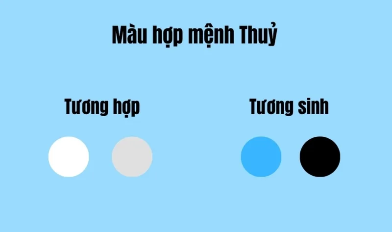 Tuổi Đinh Sửu hợp các màu thuộc hành Thủy và Kim như đen, xanh dương, trắng, xám