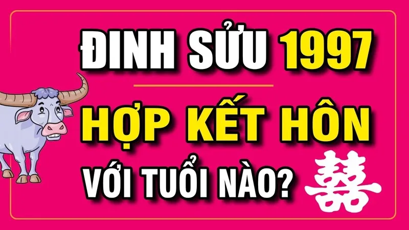Trong tình duyên, người Đinh Sửu thường nghiêm túc, chân thành và hướng đến sự ổn định lâu dài
