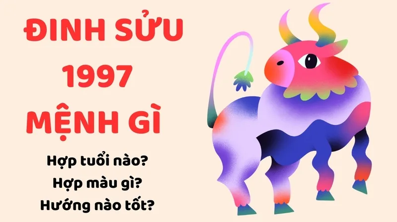 Đinh Sửu sinh năm 1997, tuổi con Trâu, thuộc mệnh Thủy trong ngũ hành